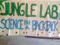 jungle_lab